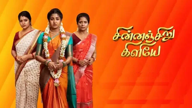 Chinnan Siru Kiliye Episode 324 Zee Tamil TV Source 02
